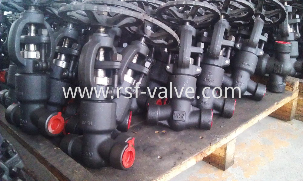 Pressure Seal Bonnet Api602 Valve 2